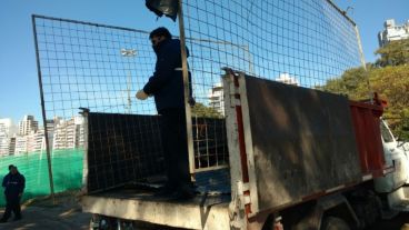 El operativo en la barranca rosarina.