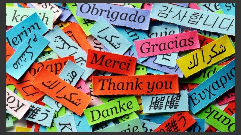 Se cursarán en UCA Campus del Rosario.