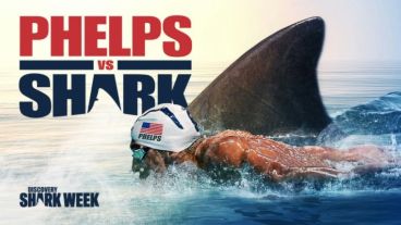 La insólita carrera entre Phelps y el tiburón.