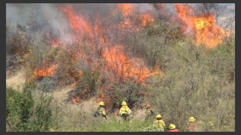 Las consecuencias del asado fallido.