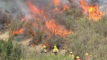 Las consecuencias del asado fallido.