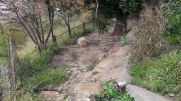 El operativo del municipio se desarrolló este lunes en la costa central.