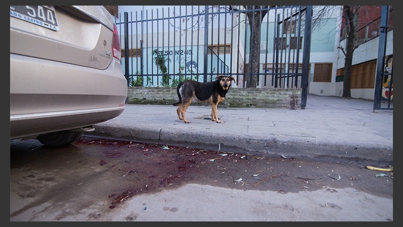 Una mancha de sangre frente al colegio Lola Mora.