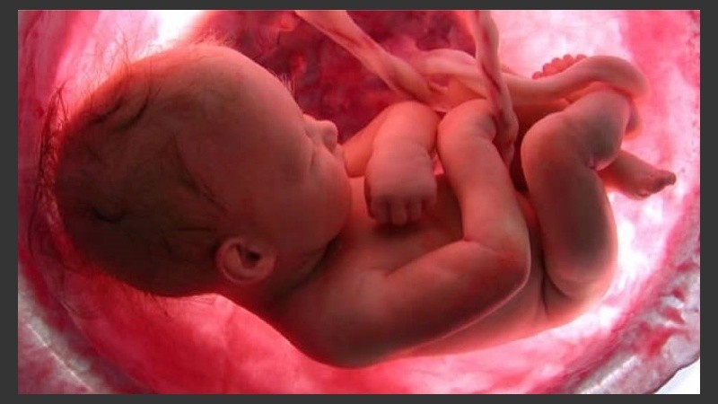 Se realizará los días 24 y 25 de agosto.