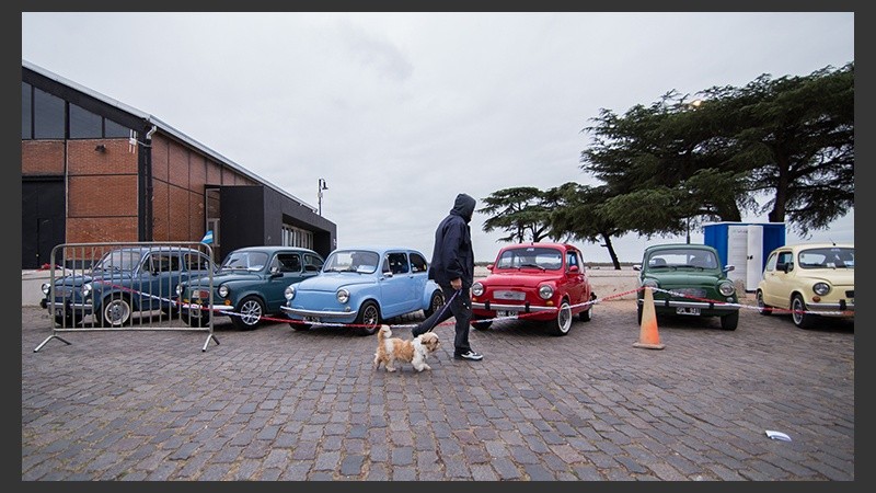 Variedad y colores en la sección de los Fiat 600. (Alan Monzón/Rosario3.com)
