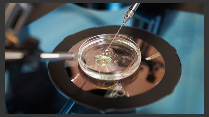 Genética, Endocrinología Reproductiva, Cirugía Endoscópica, Anticoncepción, serán algunos de los tópicos del evento.