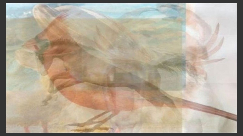 A través de los animales un estudio devela la personalidad.