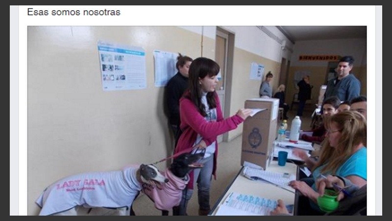 Las galgas fueron con la votante.