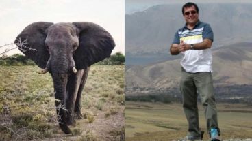 El hombre publicaba fotos junto a los ejemplares que cazaba.
