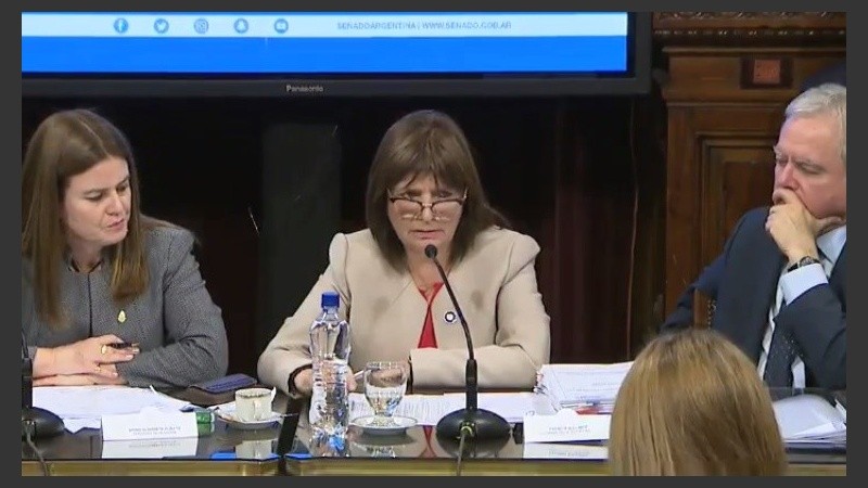 La funcionaria señaló que no está probado si Maldonado estuvo en la protesta.