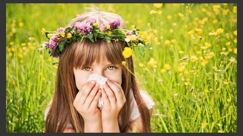 El sistema envía alertas a modo de previsión a los celulares de aquellos usuarios con alergias estacionales.