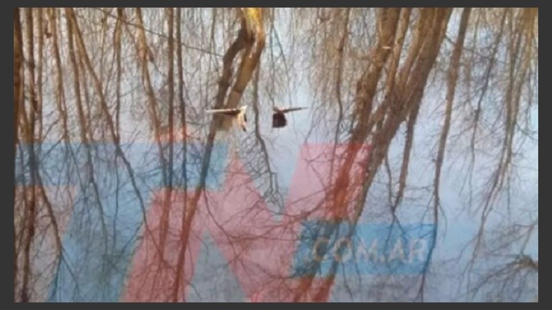 El agua bajó y asomó parte de la avioneta.