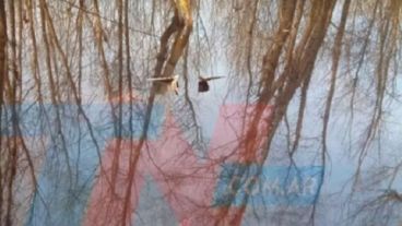 El agua bajó y asomó parte de la avioneta.