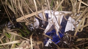 La aeronave encontrada este sábado a la tarde.