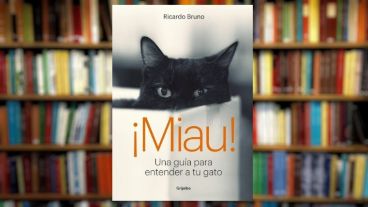 "Hay gatos que nacen con una personalidad más arisca, pero todo depende de las primeras experiencias que haya tenido, ya sea en la calle o con el propietario",