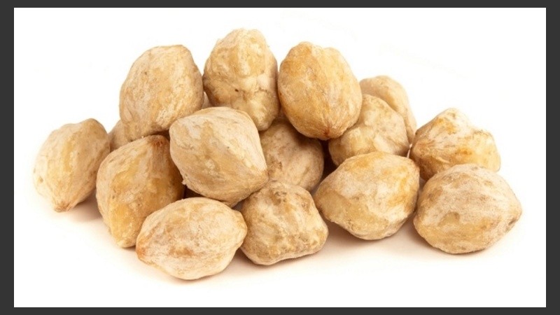 La nuez de la India. 