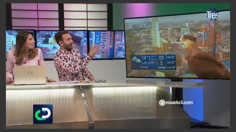 Tiemblan Rocío y Fonti: carancho pide piste desde las torres del Gigante de Arroyito.