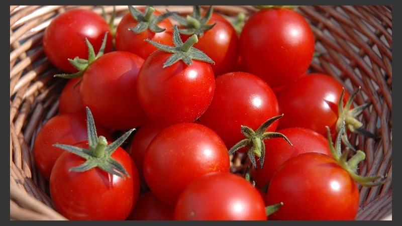 Este extracto lipídico de tomate fue ampliamente estudiado por sus efectos anticancerígenos.