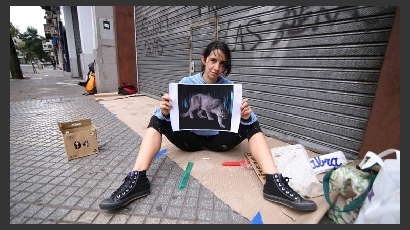 Las intervenciones en las persianas del centro.