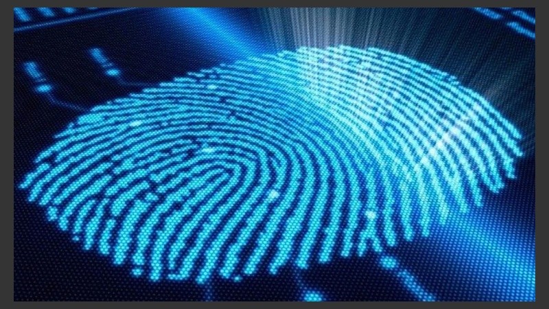 La propuesta plantea varios juegos que permitirán conocer la importancia del documento.