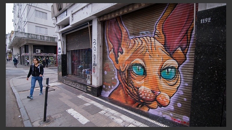 Así quedaron las persianas de los comercios intervenidas por los artistas.