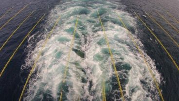 El permiso se otorgó por un plazo de 12 meses y abarca un área superior a la provincia de Santa Cruz.