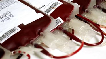 Las transfusiones se hacen con una mezcla de sangre de adolescentes.