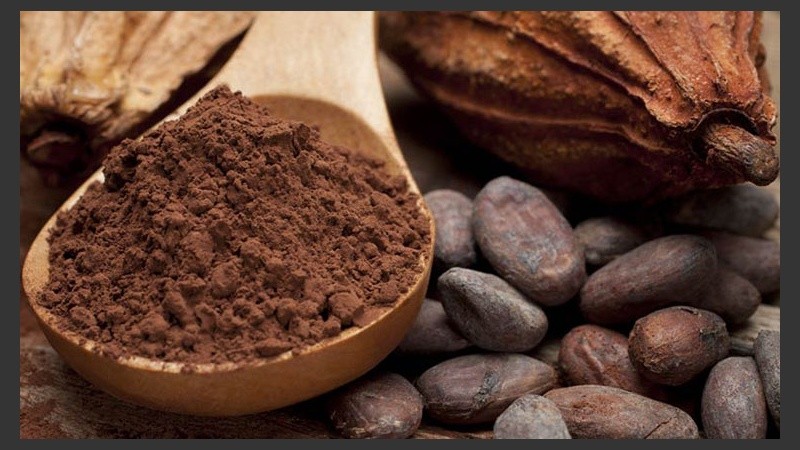 Se verificó que los compuestos del cacao protegen contra el daño inducido por la isquemia coronaria.