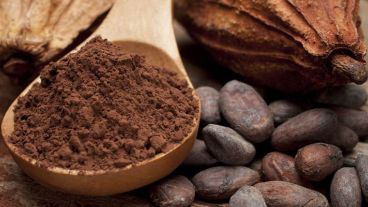 Se verificó que los compuestos del cacao protegen contra el daño inducido por la isquemia coronaria.