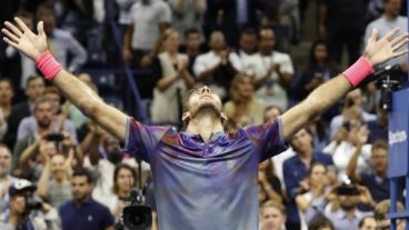 Del Potro, que alcanzó la semana pasada las semifinales del Masters 1000 de Shanghai, pasó del puesto 23 al 19