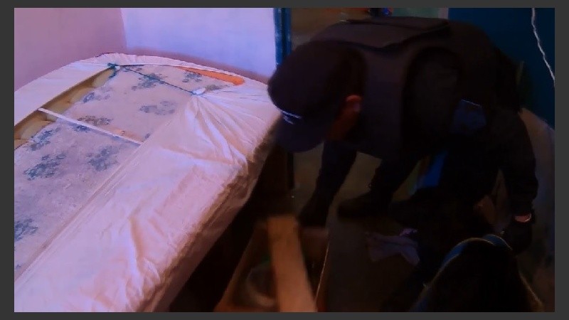 Los perros policías también buscaron.