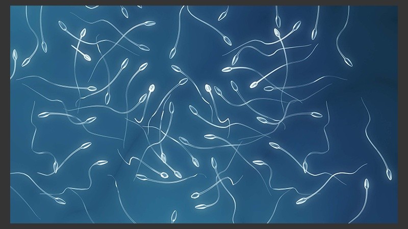 Es relativamente fácil para los virus llegar hasta el semen, y relativamente más difícil para el sistema inmunitario limpiarlos.