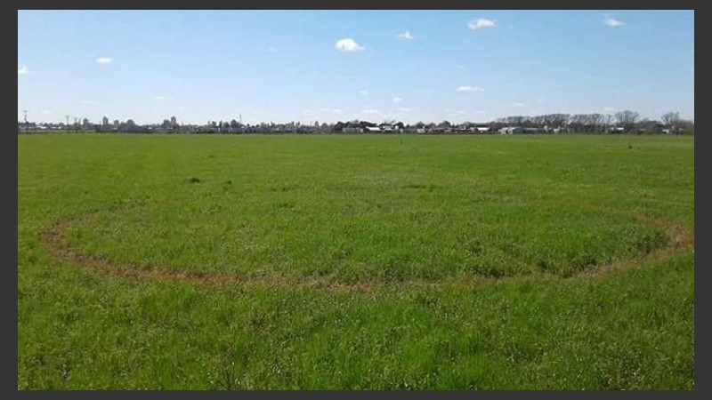 El círculo en el campo venadense. 