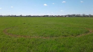 El círculo en el campo venadense.