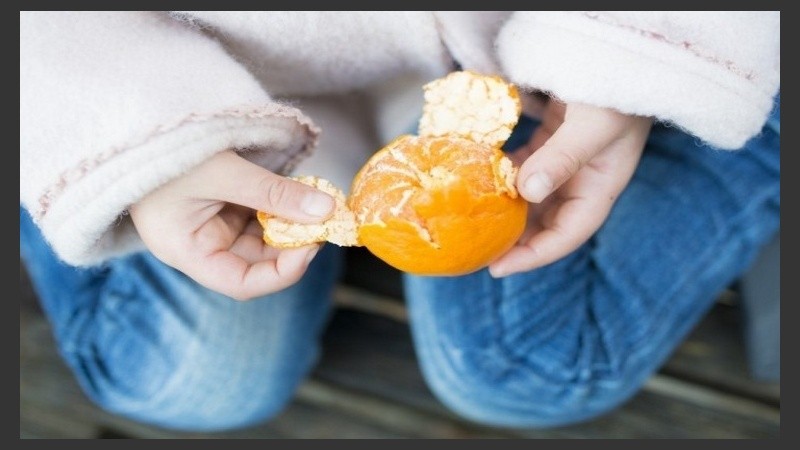 El fiscal señaló que 