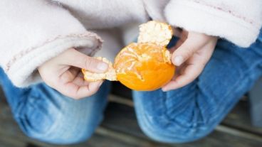 El fiscal señaló que "a esas frutas se les inyecta el agrotóxico y luego se las lleva”.