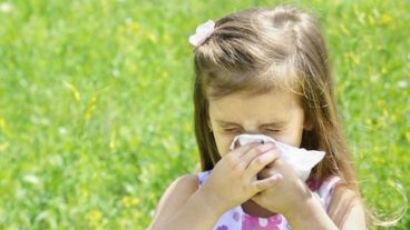 El manejo del paciente con síntomas de rinitis y/o asma debe hacerse de forma integral.