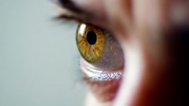 Iris, orejas y hasta la lengua aparecen como alternativas para "identificar" a las personas.