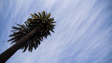 El domingo se presta para hacer actividad al aire libre.