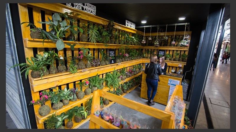 Así quedó el Mercado del Patio.