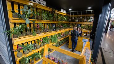 Así quedó el Mercado del Patio.