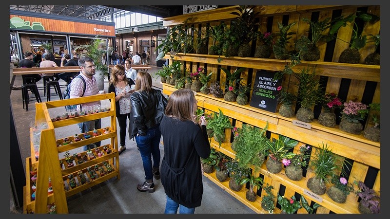 Así quedó el Mercado del Patio.