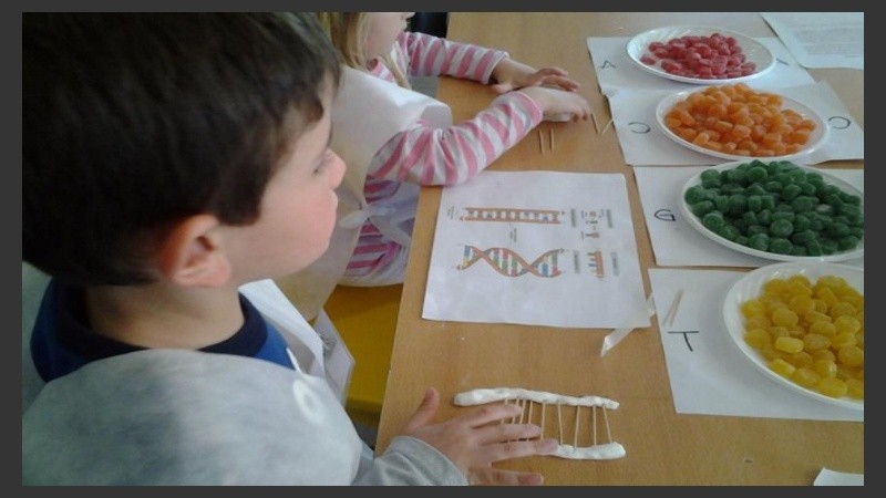Los más pequeños también armarán un modelo con moléculas de ADN usando golosinas.