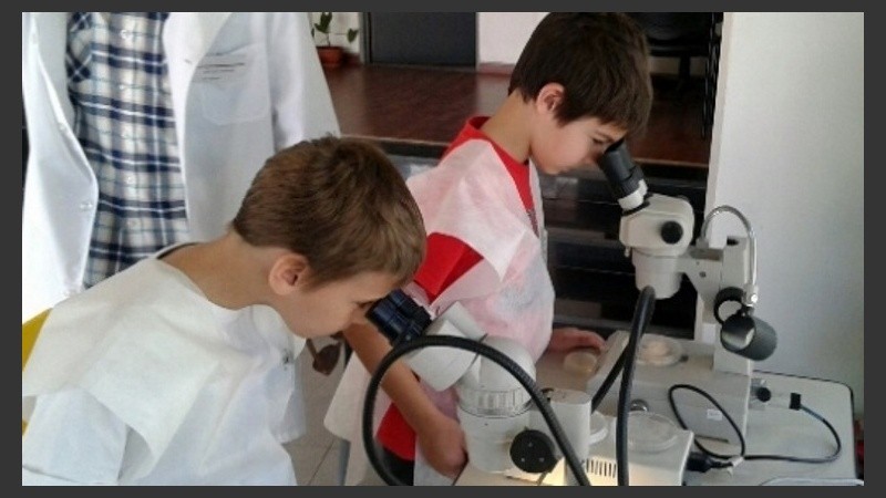 Los chicos podrán ver la ciencia desde adentro.
