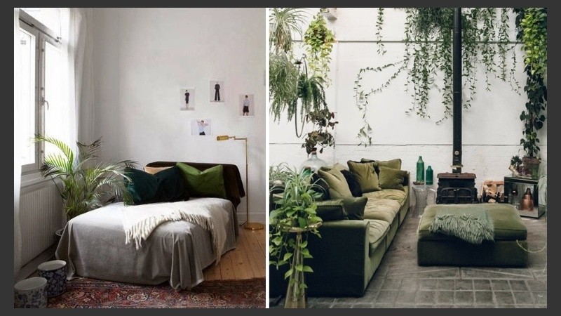 ¡Animate a transformar tus ambientes!