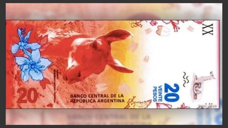 Así será el nuevo billete de 20 pesos argentinos. 