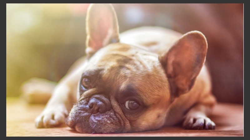 Caluroso hasta el jueves. 