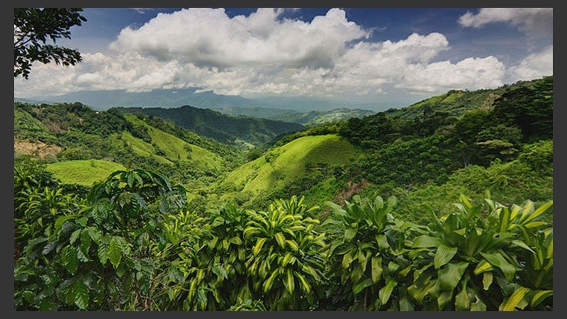 Antes de viajar, conviene consultar a especialistas para saber qué medidas adoptar para evitar enfermedades.