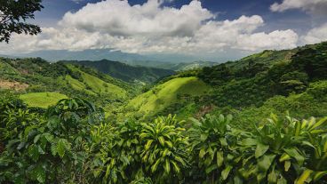 Antes de viajar, conviene consultar a especialistas para saber qué medidas adoptar para evitar enfermedades.