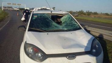 Los destrozos en el vehículo que impactó a la agente.